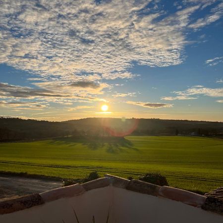 Mas Des Magnarelles / Uzes / Cevennes Villa Mejannes-les-Ales Екстериор снимка